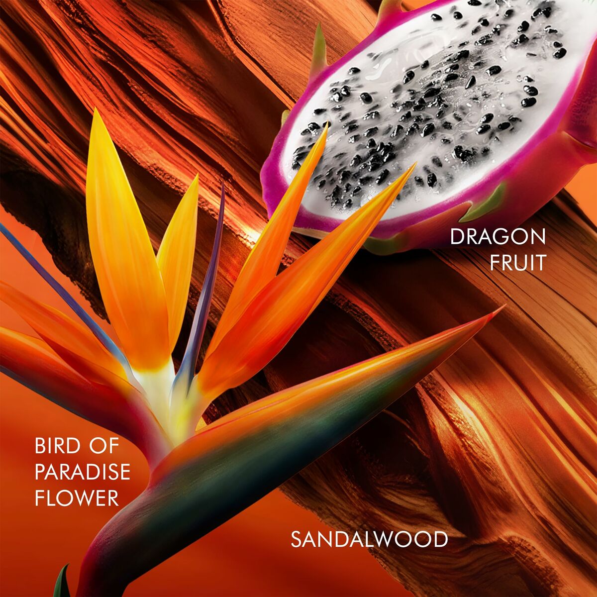 Parfum femme Escada Bali Paradise en eau de toilette pour une fragrance fraîche et lumineuse.